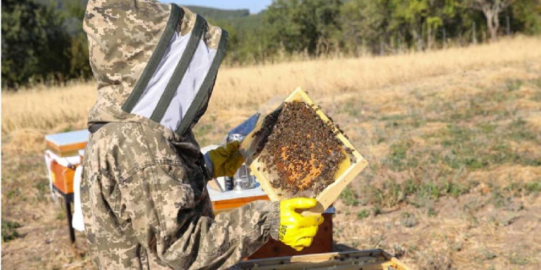 İstanbul’dan yola çıkıyor 900 km gidiyor! Arıları için vazgeçmiyor: Bakımlarını ihmal etmiyor 1